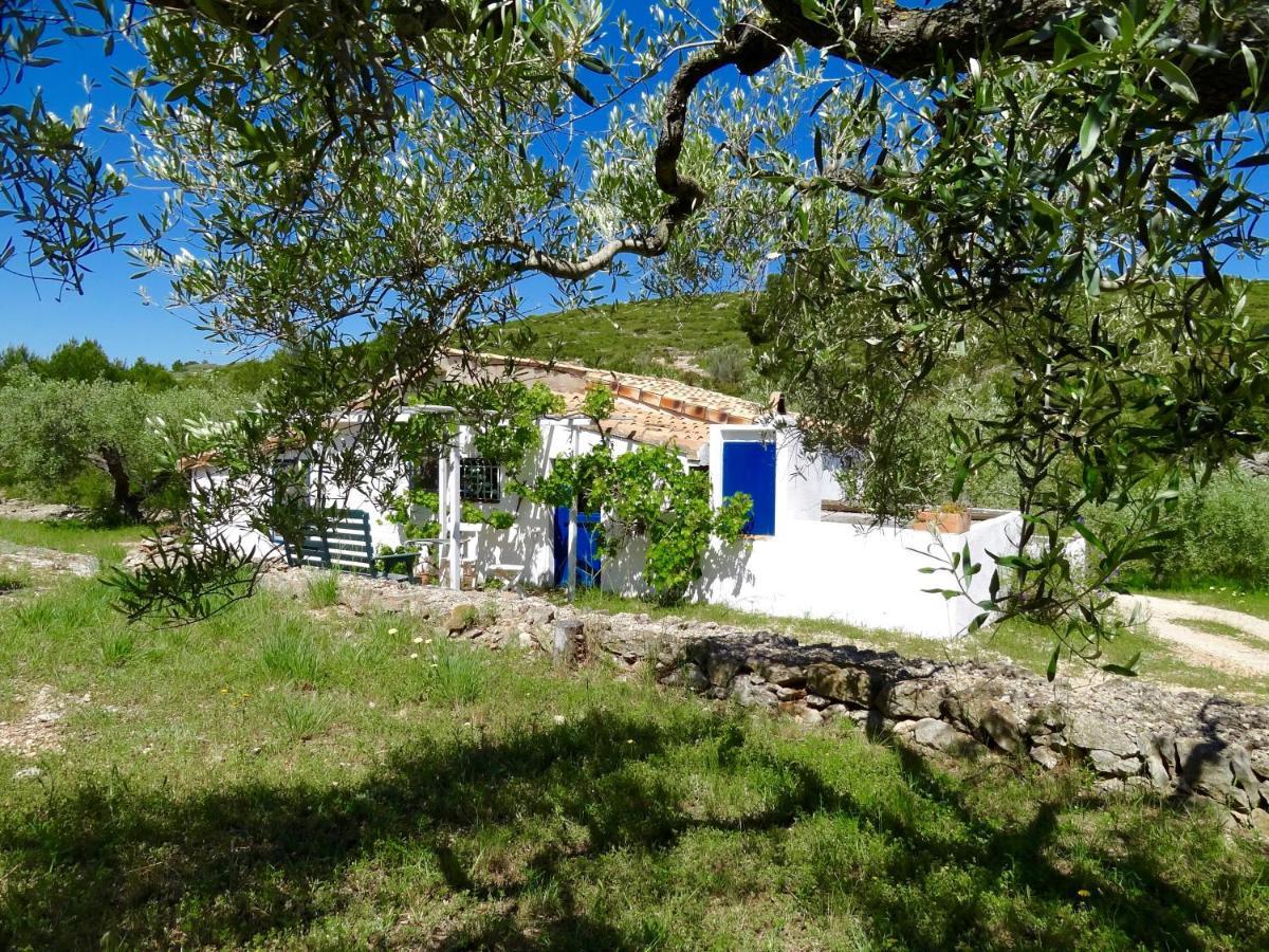 Casita Blanca Villa El Perelló Buitenkant foto